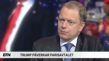 De nya miljöhjältarna – försvaret och näringslivet