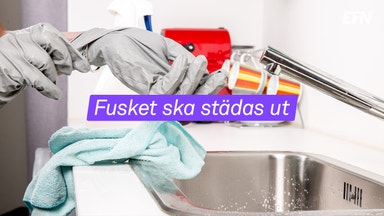 Branscherna i heta stolen hos Skatteverket