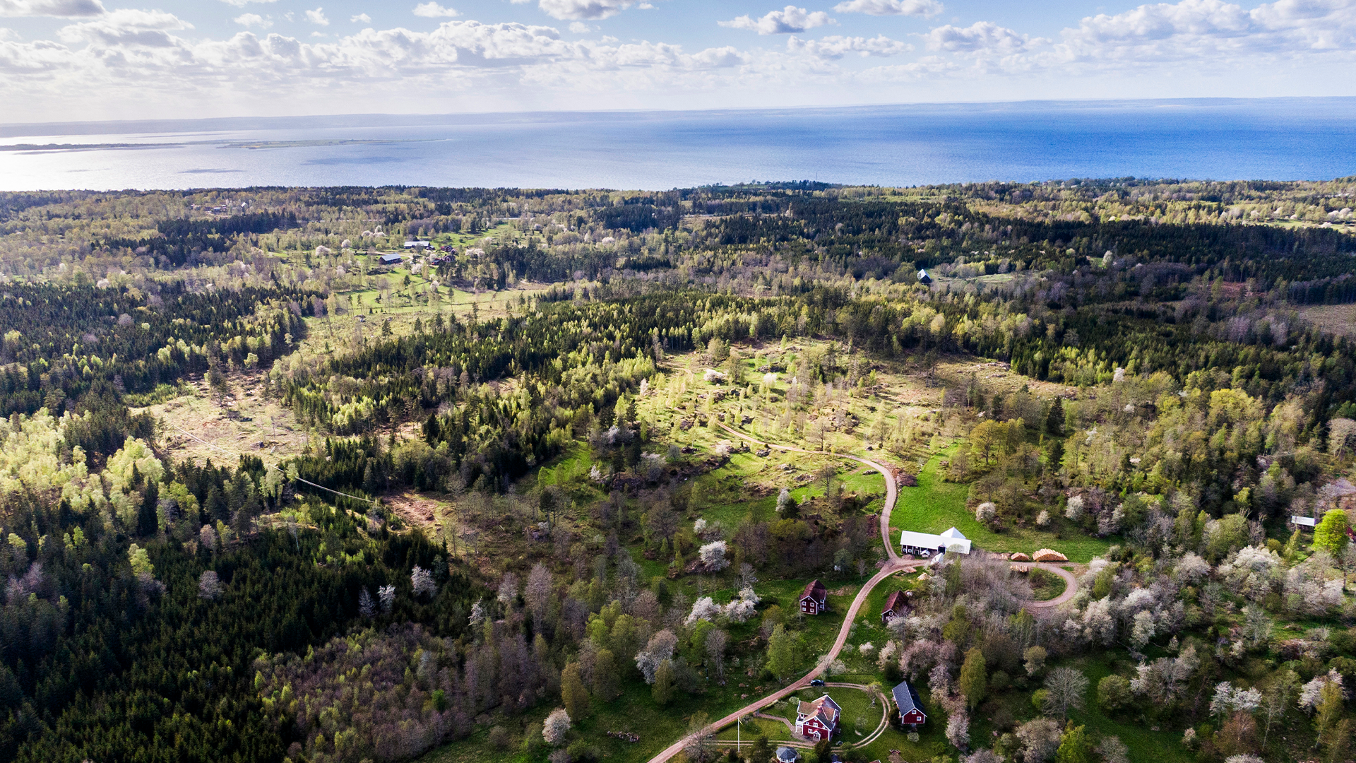 Norra kärr – fast i tillståndsträsket