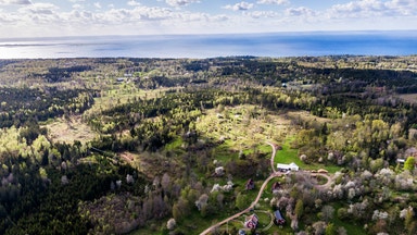 Norra kärr – fast i tillståndsträsket