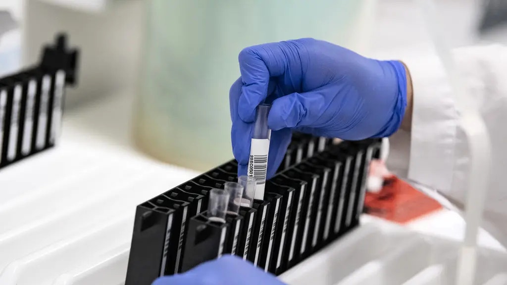 Gloved hand placerar provrörsrack i laboratorieapparatur