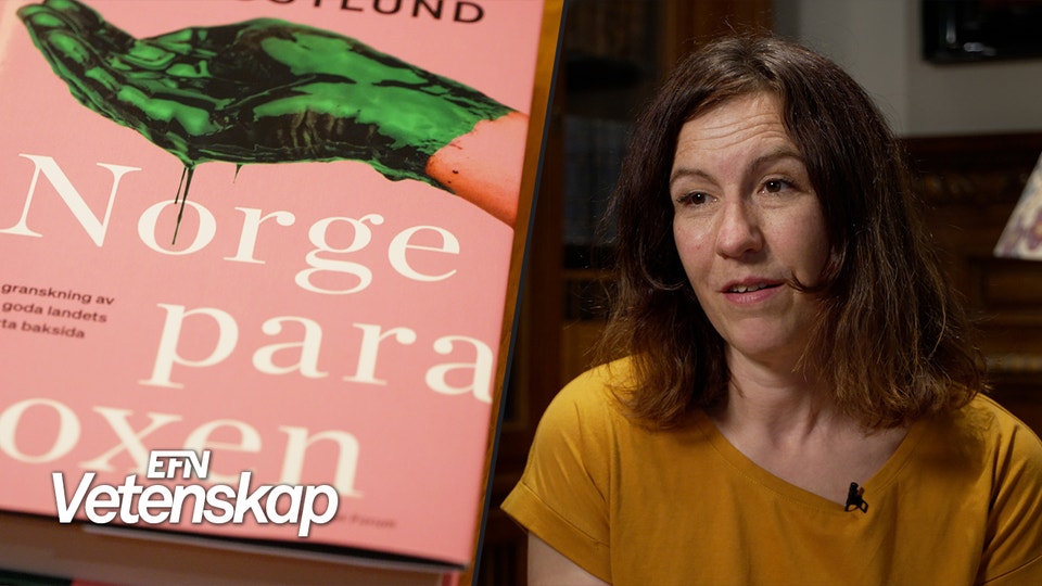 Ett montage med bokomslaget till Norgeparadoxen till vänster, och Lisa Röstlund till höger.