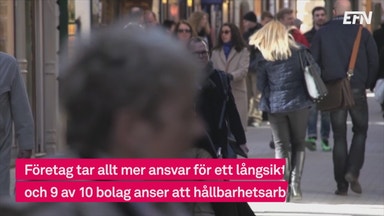 Snabb utveckling i företagens hållbarhetsarbete