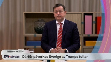 Återhämtningen dröjer enligt Swedbank