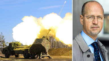 Så kan Danmark rusta upp – med Sverige: ”Bättre pris”