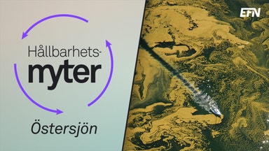 Så mår Östersjön