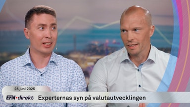Analytiker: "Fler och fler saker talar emot dollarn"