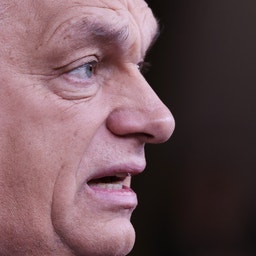 Profilbild av en äldre man med grått hår mot mörk bakgrund