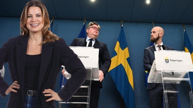 Sverige ville stoppa fienden – skrämde bort vännerna