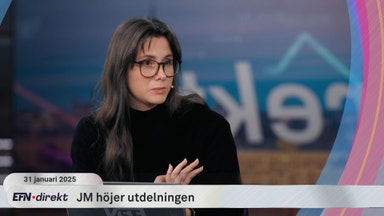 Billig sektor med låg risk – allt om rapporterna