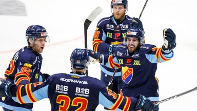 Nyemission i Djurgården