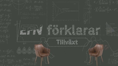 EFN förklarar tillväxt