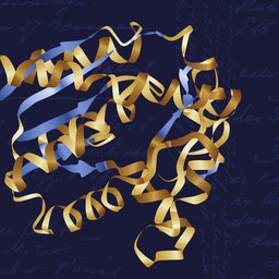 Illustration av ett proteins tredimensionella struktur i guld och blått mot en mörk bakgrund med handskriven text.