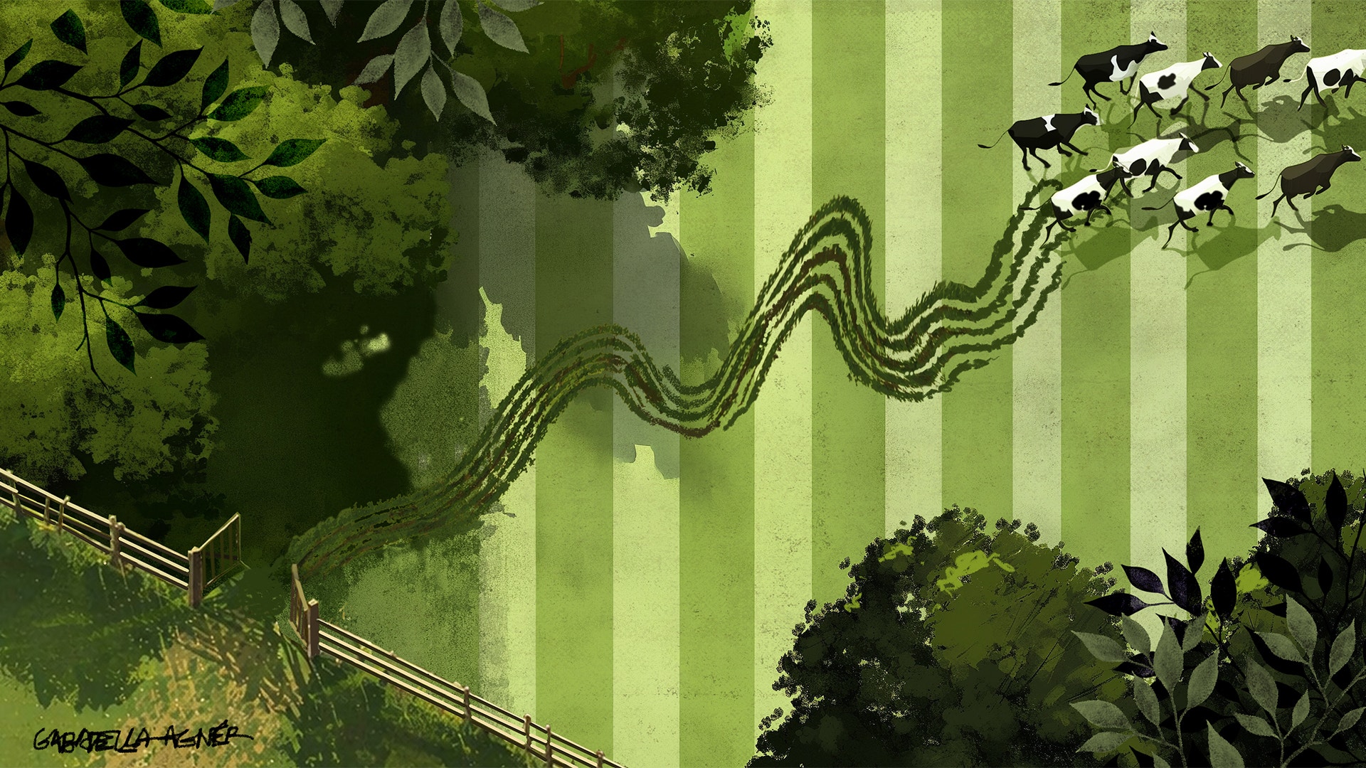 Luftperspektiv av en slingrande väg genom ett grönt fält med träd och växtlighet runt omkring.