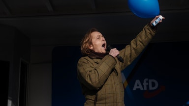 AfD-grundaren inför tyska valet: "Som att begå självmord"