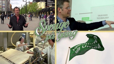 Umeå - ung stad som ger mersmak