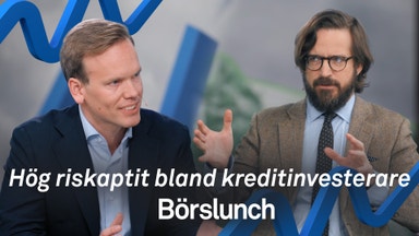 Nordiska krediter lockar när marknaden skakar