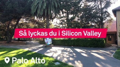 Fyra tips om hur du lyckas i Silicon Valley