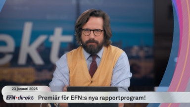 Allt om Sandviks och Swedbanks rapporter