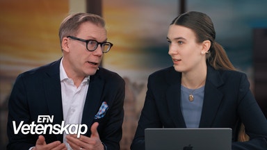 Forskning visar: Människor med barn är mindre lyckliga