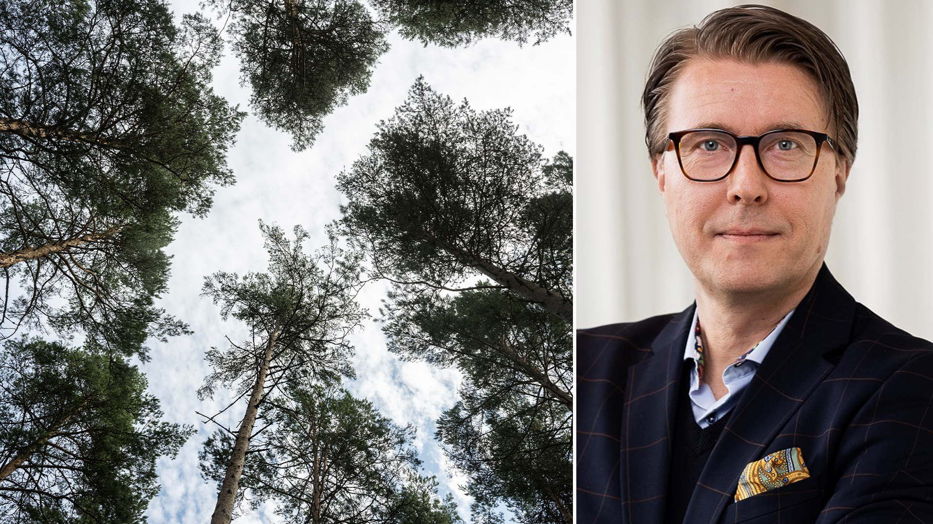 Skogsrapport: Uppifrån-vy av höga träd i skog mot himlen, tillsammans med porträtt av man med glasögon och mörk blazer.