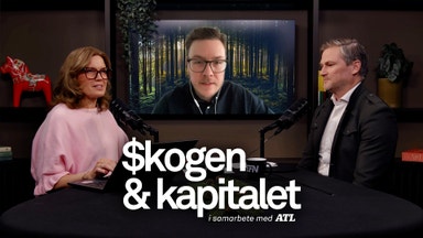 Så gör du ditt livs bästa skogsaffär