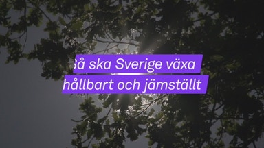 Så ska Sverige växa hållbart och jämställt