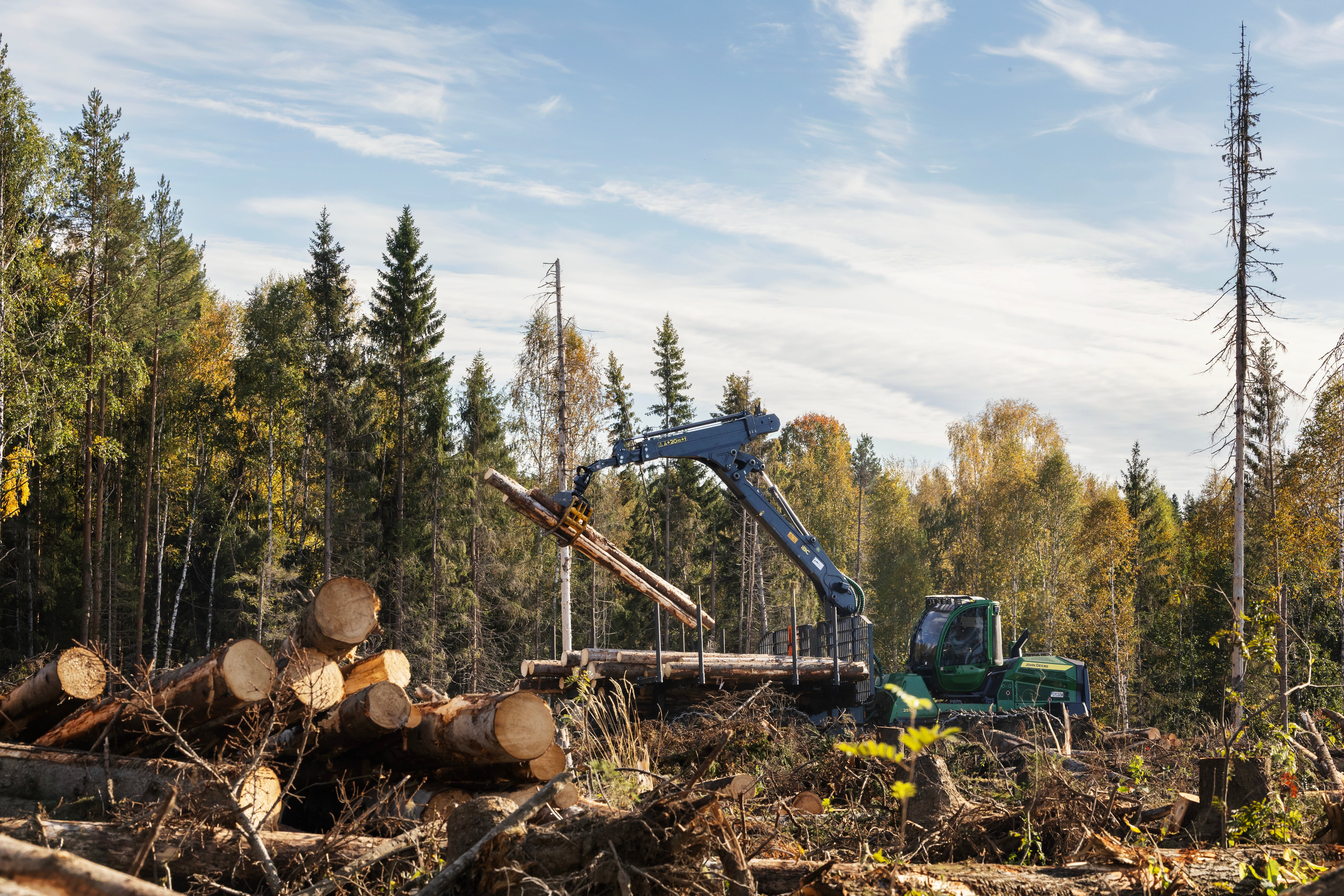 En skogsmaskin lastar timmerstockar i en avverkad skog.