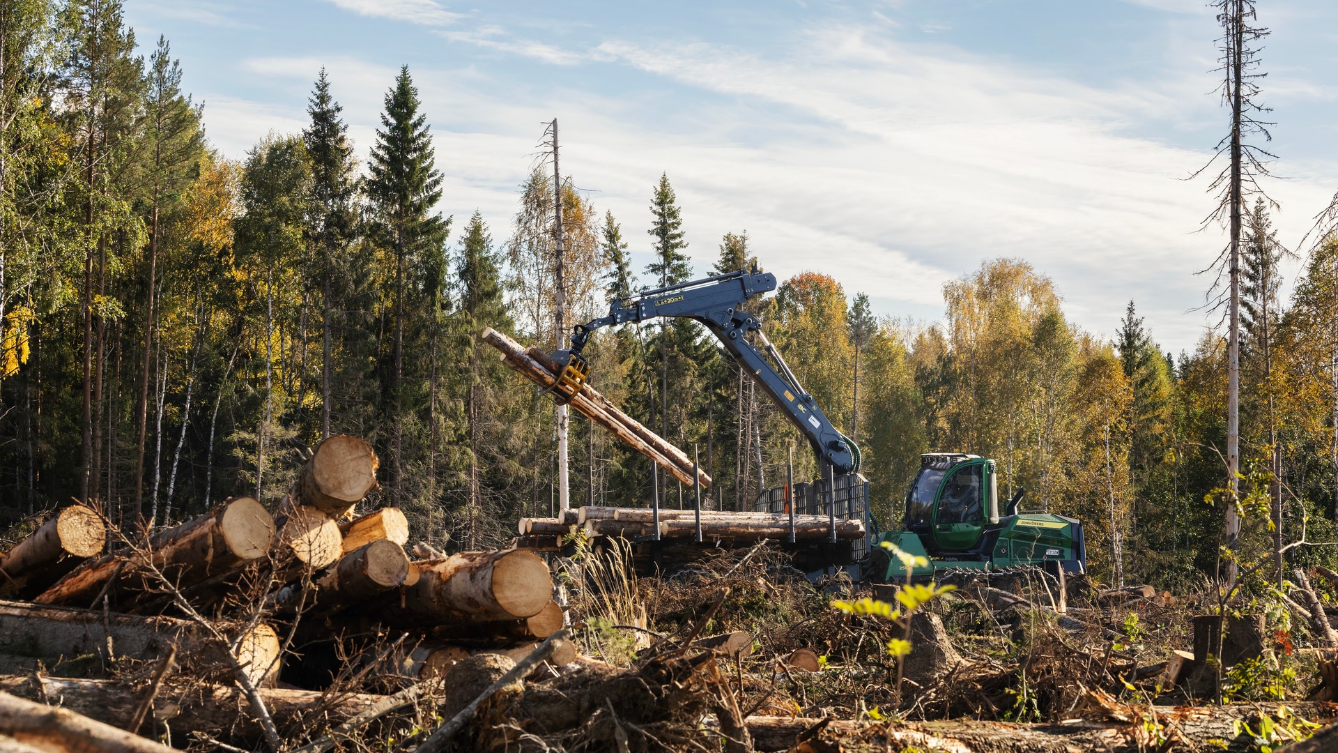 En skogsmaskin lastar timmerstockar i en avverkad skog.