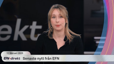 Stockholm Fintech Week och den svenska kronan