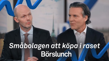 Så slår tullkriget mot svenska småbolag