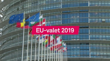 Sverige kan få nytt mandat