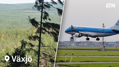 Här ska skogen ge flyget bränsle