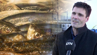 Fisk – Norges nya guld