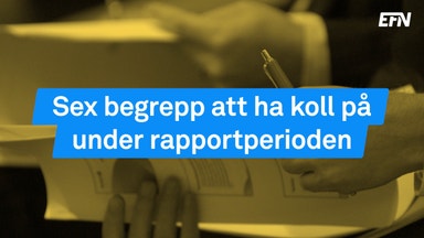 Så blir du bättre på att tolka kvartalsrapporten
