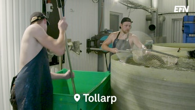 Unik fiskodling med cirkulära mål