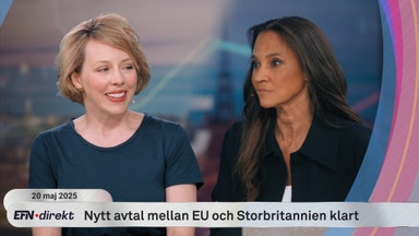 Nya avtalet: ”Mycket väsen för ingenting”