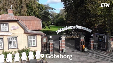 Uppkopplad trädgård skapar nya innovationer