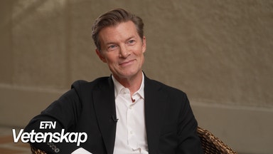 Johan Norberg: Nu får vi stats-TikTok