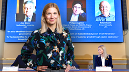 Kerstin Enflo: Kreativ förstörelse är tillväxtens dubbla ansikte