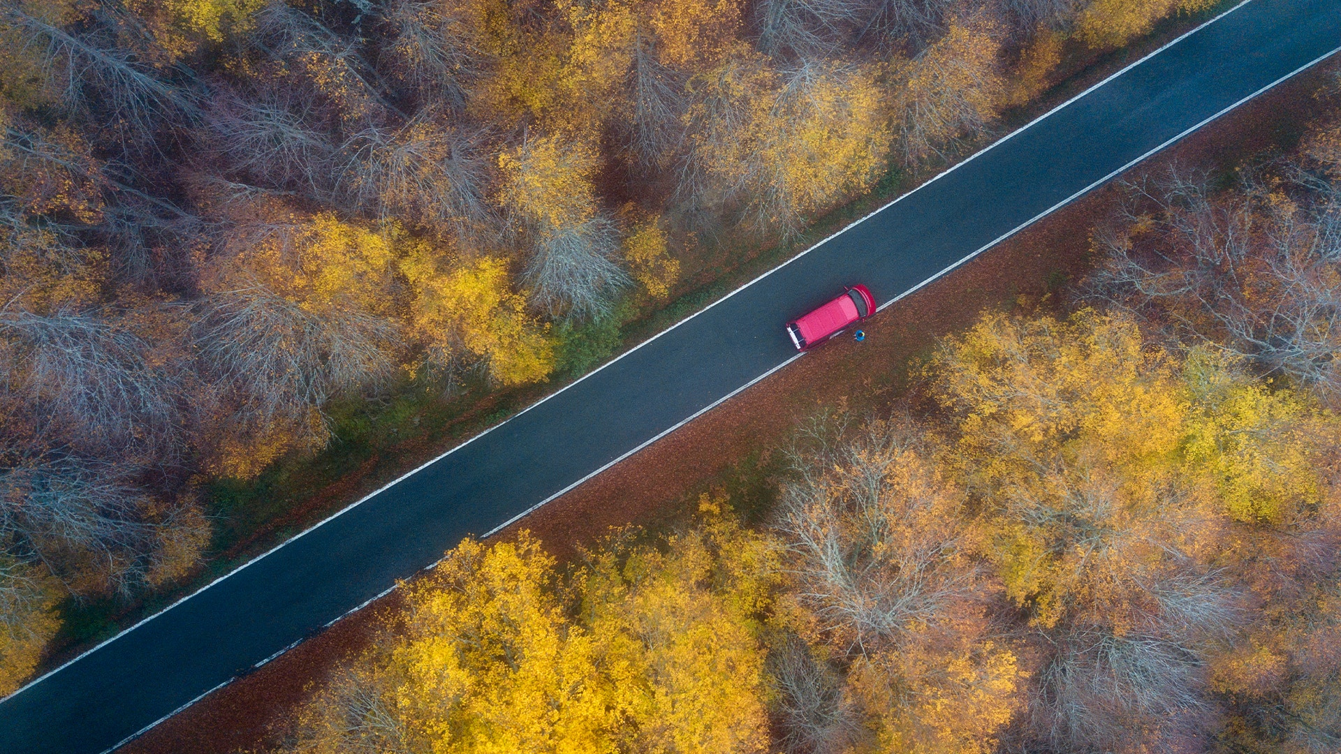 Röd Volkswagen-bil på väg genom höstskog med gula och bruna träd sett från ovan