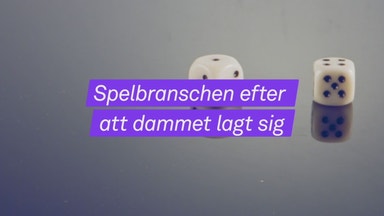 Vem vann på spelregleringen?