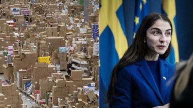 L: Förbjud Temu och Shein