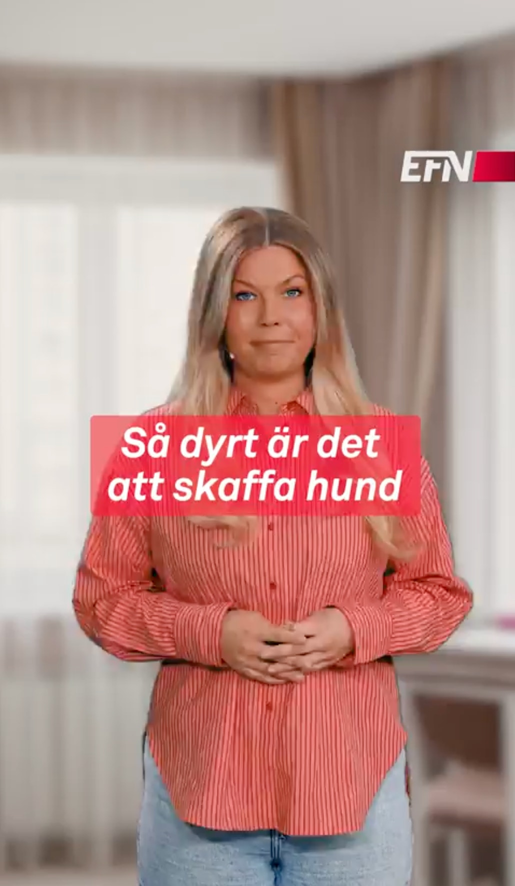 Så dyrt är det att skaffa hund