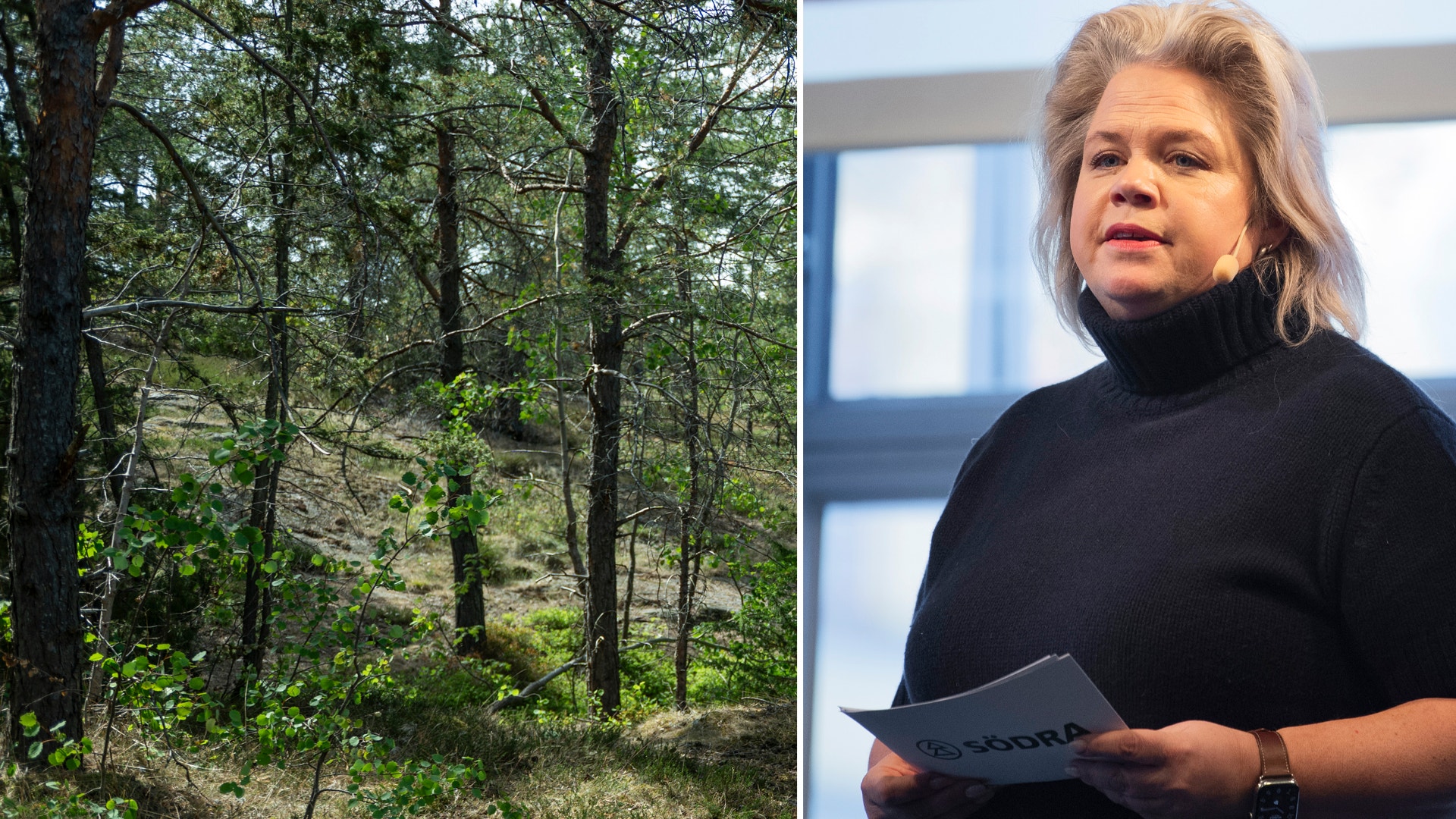 Bild på Lotta Lyrå, vd för Södra till höger, och skog till vänster.