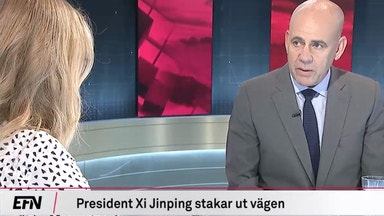 "Läckta uppgifter överraskar"