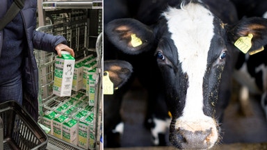 Mjölkbönders ersättning rusar