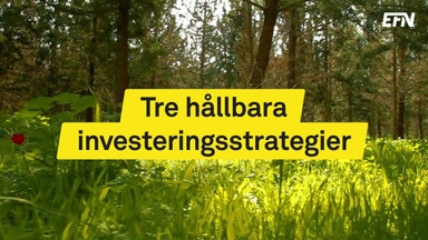 Olika avkastning på hållbara investeringar