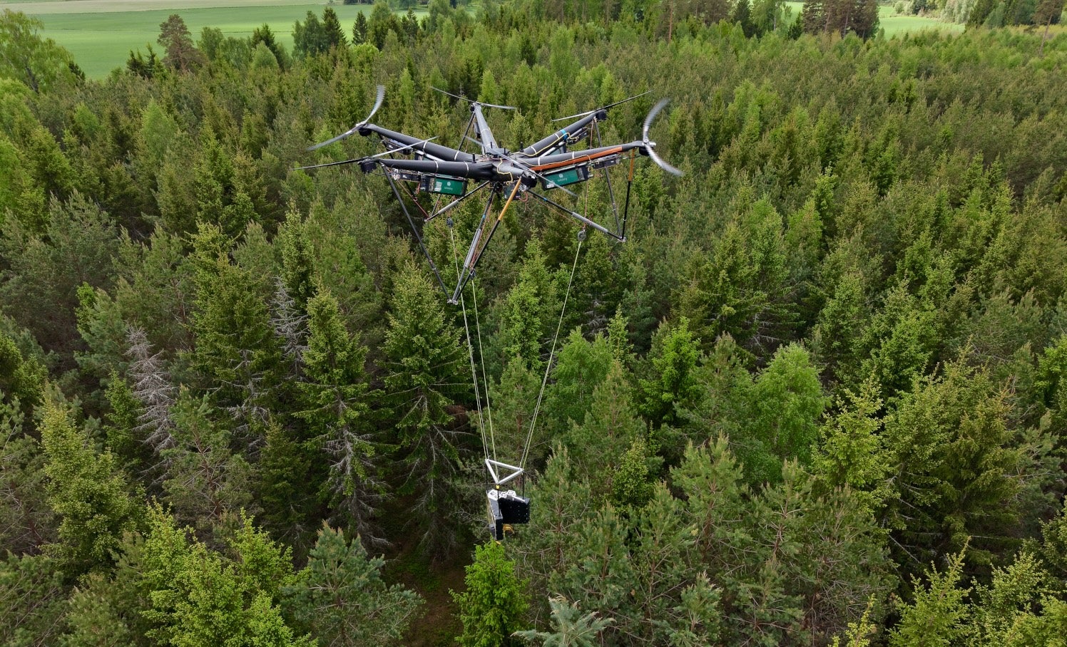 Flygande träd nästa steg i skogsbruket