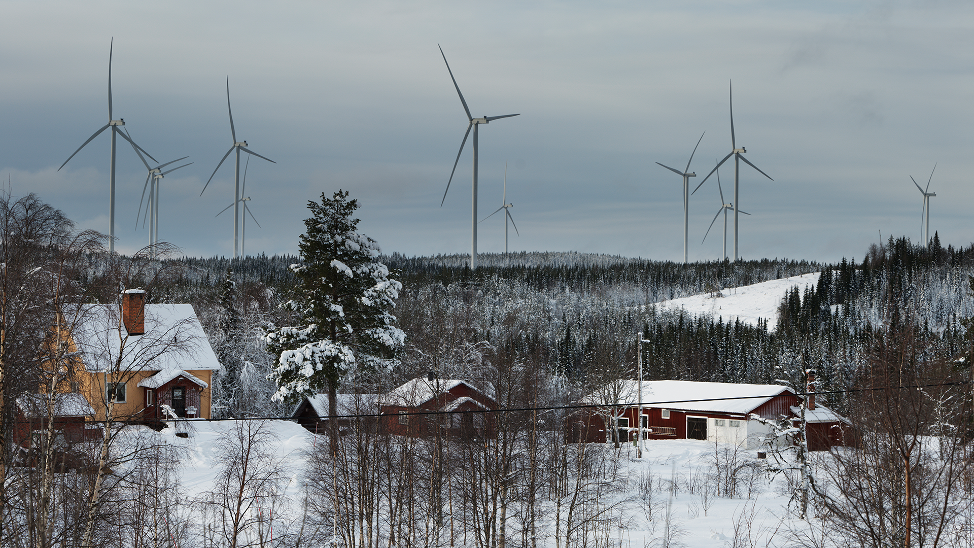Snötäckt vinterlandskap med vindkraftverk i bakgrunden och röda trähus i förgrunden.